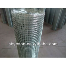 Galvanized Welded Wire Mesh(Direct Factory)